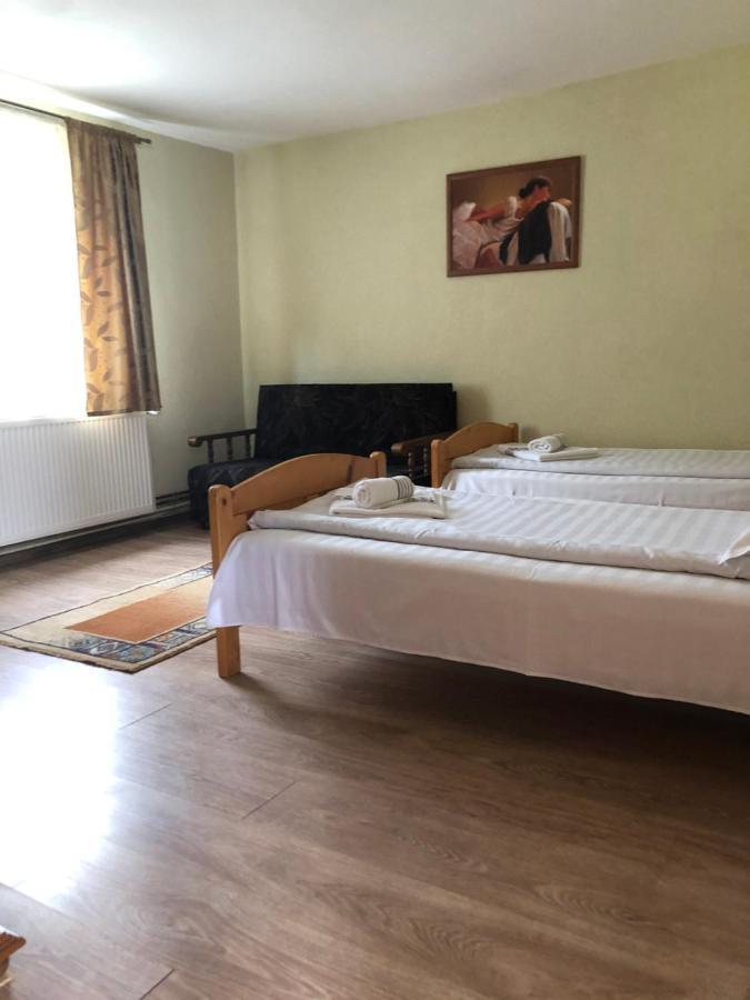 Pensiunea Felyviss Albac Exteriér fotografie