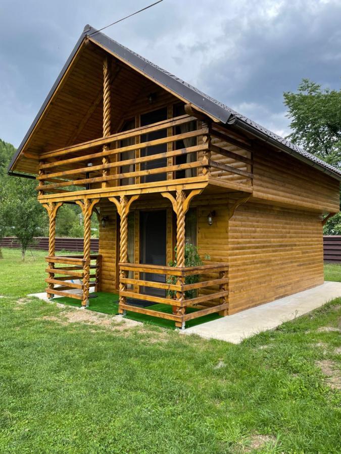 Pensiunea Felyviss Albac Exteriér fotografie