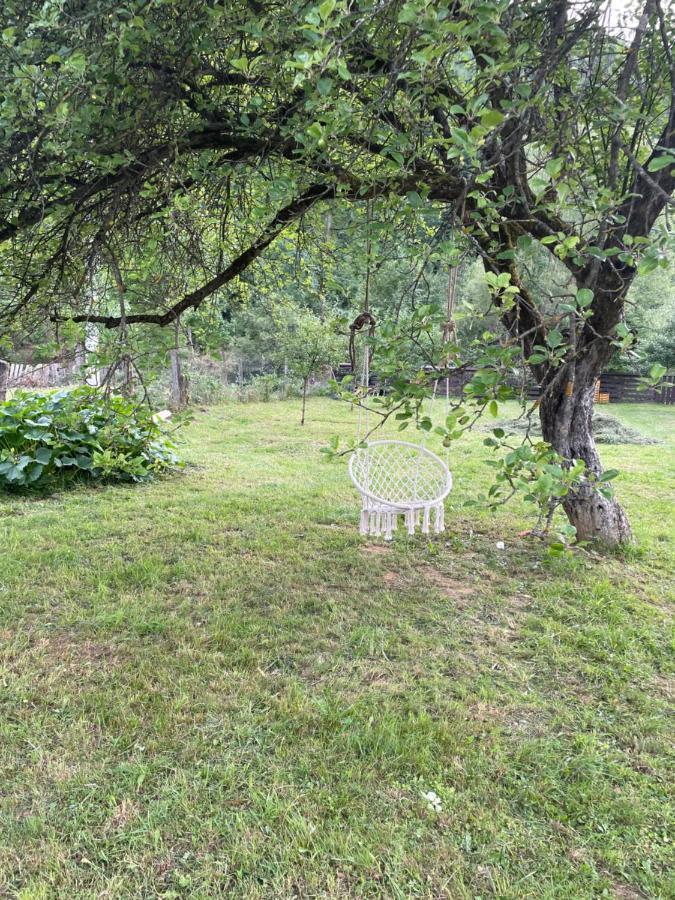 Pensiunea Felyviss Albac Exteriér fotografie