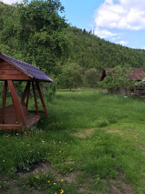Pensiunea Felyviss Albac Exteriér fotografie