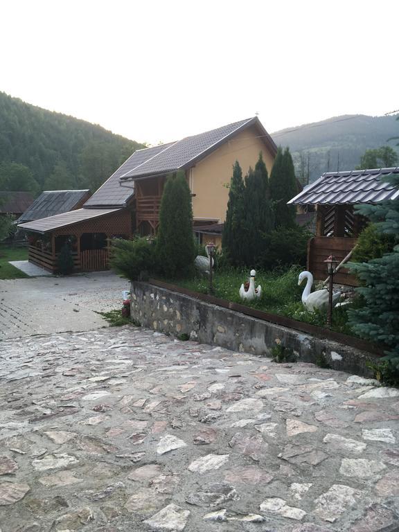 Pensiunea Felyviss Albac Exteriér fotografie